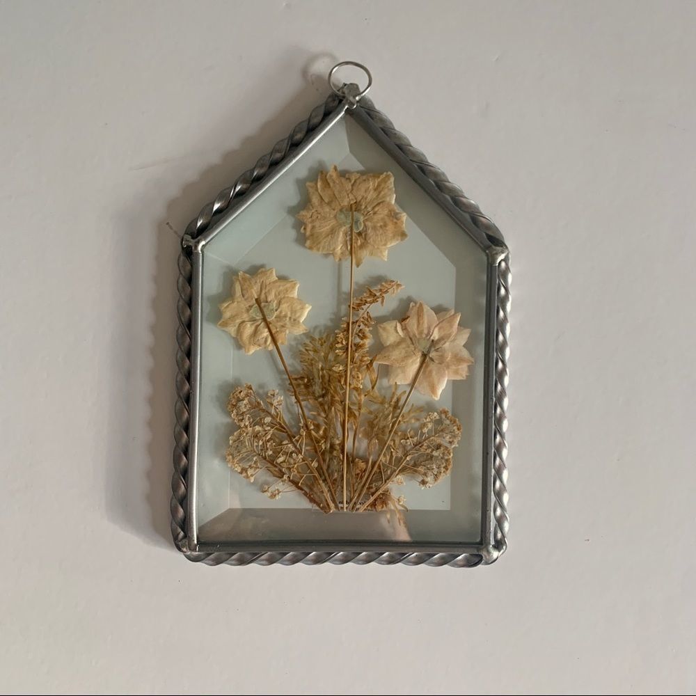 Lasting Impressions Real Flowers Pressed Flowers